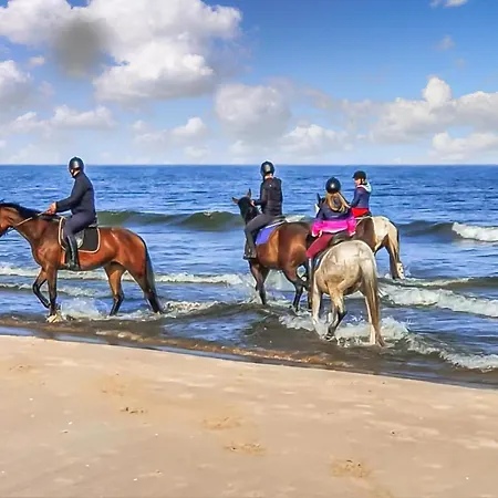 بيت للعطل Pet Friendly In With Wifi ريفال