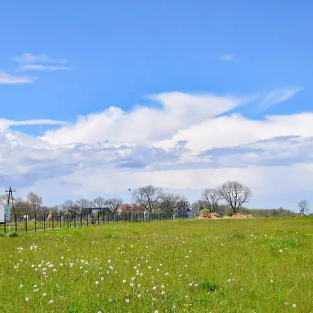 Pet Friendly In With Wifi بيت للعطل *